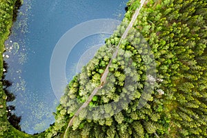 aerial veiw of empty road in green forest with the blue lake. drone shot