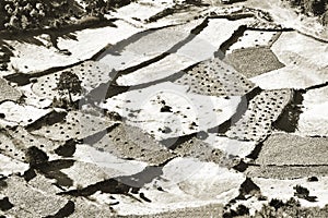 Aerial vew of Crop fields at high Himalaya mountain.