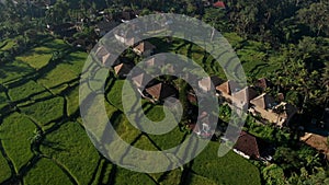 Aerial video in an amazing landscape of green rice fields and traditional villas with straw roofs, Bali, Indonesia