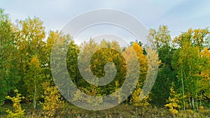 Aerial video of autumn forest on a cloudy day