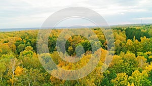 Aerial video of autumn forest on a cloudy day