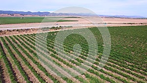 Aerial video farmland