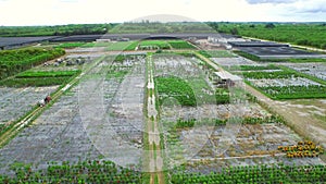 Aerial video of farmland in Homestead Florida