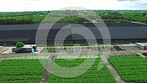 Aerial video of farmland in Homestead Florida