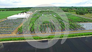 Aerial video of farmland in Homestead Florida