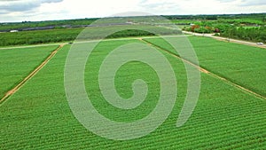 Aerial video of farmland in Homestead Florida