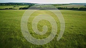 Aerial video flying over green grass field