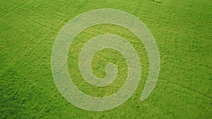 Aerial video flying over green grass field during sunset