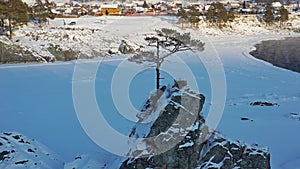 Aerial video of lonely Pine tree on rock on Altai river Katun in winter