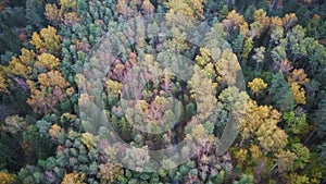 Aerial View in 4k a Car Driving Up Curvy Country Grawel Road Through Colorful Autumn Forest. Beautiful Landscape With Rural Road,