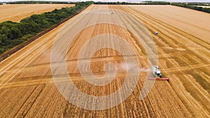 Aerial view 4k resolution several modern combine harvester collects ripe wheat leaving behind a cloud of dust on a wheat