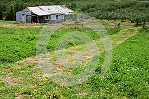 Aerial view of abandoned old farm house