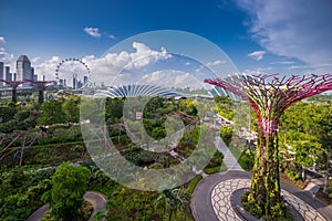 Aerial view above Gardens by the Bay