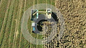 Aerial View Above Harvester Collect Corn In Field And Pour It In Tractor Trailer