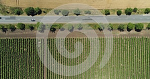 Aerial view above highway road, travel cars and agricultural fields at sunset