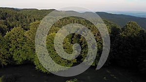 Aerial view above the mountain forest