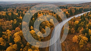 Aerial View Above Road in Forest in Fall