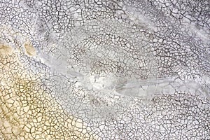 Aerial view of abstract mudcracks background