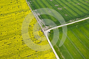 Aerial view of affected rapeseed crops fields