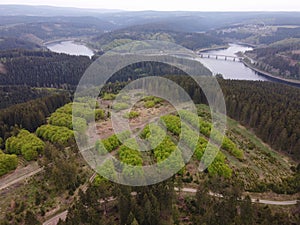 Aerial view of afforestation in Lower Saxony, Germany.