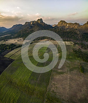 Aerial view of agricultural field in lopburi central of thailand