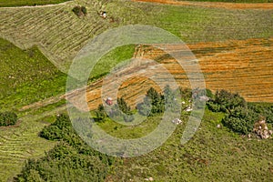 Aerial view of the agricultural field in the mountain