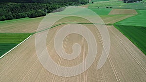 Aerial view of agricultural fields