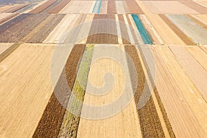 Aerial view of agricultural fields Autumn countryside