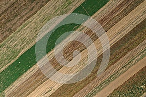 Aerial view of agricultural fields by drone