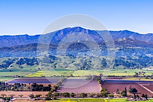 Aerial view of agricultural fields, Santa Cruz mountain in the background, south San Francisco bay, San Jose, California