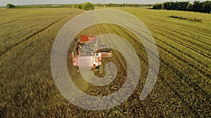 Aerial view of an agricultural harvester working in a large field. Beautiful, Sunny landscape of the plantation with a