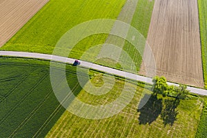 Aerial view of agricultural land