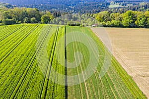 Aerial view of agricultural land