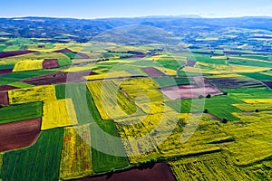 Aerial view of agricultural land with blooming in northern Greece