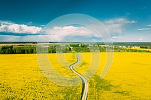 Aerial View Of Agricultural Landscape With Flowering Blooming Rapeseed, Oilseed In Field In Spring Season. Blossom Of