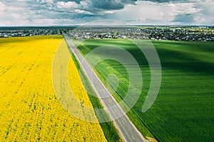 Aerial View Of Agricultural Landscape With Flowering Blooming Rapeseed, Oilseed And Green Wheat In Field In Spring