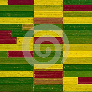 Aerial view of an agricultural landscape with rectangular fields in varying colors: photo