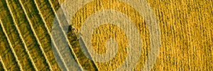 Aerial view of a agricultural machine during hay production. Beauty and patterns of a cultivated farmland in Slovakia.