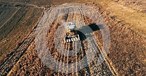 Aerial view of agriculture industry. Combine collecting corn