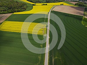 Aerial view of agriculture land with growing wheat, blooming oilseed rape, plowed arable fields and a road i