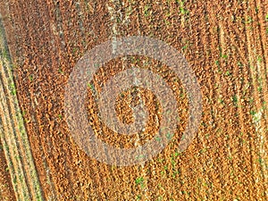 Aerial view of agriculture plowed field. Minimal tillage for healthier soils. Fertile soil in organic agricultural farm. Soil