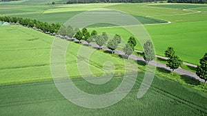 Aerial view of an alley road