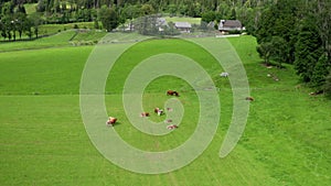 Aerial view of alpine pasture