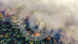 Aerial view of amazing landscape of Carpathian forests. Morning fog spreads over the river and envelopes the mountains