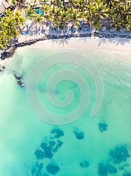 Aerial view of amazing tropical white sandy beach with palm leaves umbrellas and turquoise sea, Mauritius.