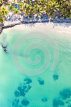 Aerial view of amazing tropical white sandy beach with palm leaves umbrellas and turquoise sea, Mauritius.