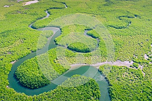 Aerial view of Amazon rainforest in Brazil, South America. Green forest. Bird`s-eye view