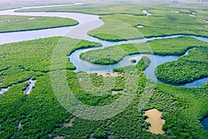 Aerial view of Amazon rainforest in Brazil, South America. Green forest. Bird`s-eye view photo