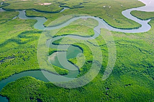 Vista aérea de Amazonas selva en brasil sur. verde Bosque 