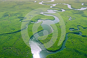 Aerial view of Amazon rainforest in Brazil, South America. Green forest. Bird`s-eye view